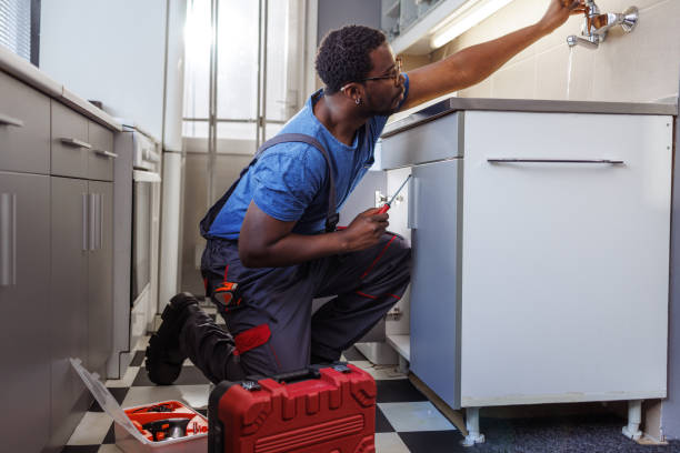 Professional Plumbing Services in Redington Shores, FL